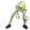 skeleDance
