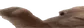wideVIBE