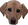 ConcernDog