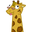 GirAsh