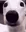 Waos