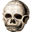 PompeiiSkull