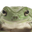 FrogYes