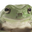 FrogNo