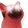 HYPERPOPCAT