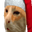 xMasCat