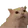 AyyaCat