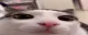 Framerate