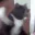 CATATTACK