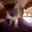 catEXCITE