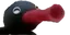 NootNoot