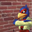 Falcowall