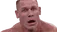 JohnCena