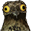 Potoo