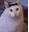 HuhN