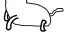 catLong3