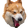 Corgyawn