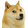Doge