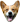 CorgiGasm