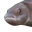 PauseFish