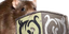 ratBlock