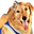 Buddy7