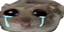 OhCry