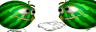 DealMelon