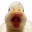 DuckU