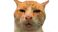 HUH