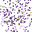 izExplode