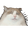 MissVendraBlablabla