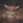 GlorpSurprise