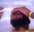 lebronCaught
