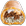 tbQuesarito