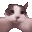 catKISS