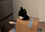 CatTank