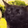 CatAnnoyed112x112
