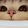 CatSniff112x112