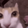 CatWhat112x112