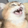 CatCursed112x112