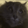 CatDrugged112x112