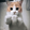 CatDance112x112