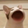 CatOmegalul112x112