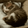 CatSleep112x112