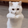 WhiteCatDance112x112