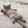 CatTired112x112