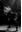 Headbang