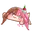 Neobongo