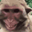 omE